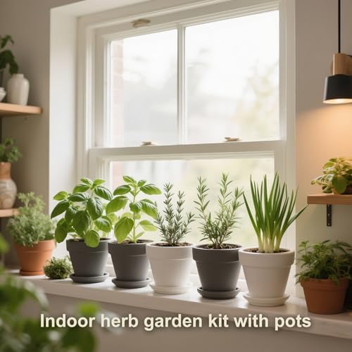 10 Indoor Herb Garden Kit, 33-Piece Complete Kitchen Herb Starter Set - Image 5
