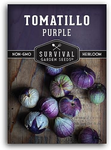 Purple Tomatillo Seeds for Planting - 1 Pack by SurvivalGardenSeeds