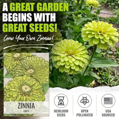 Seed Needs Envy Zinnia Seeds to Plant Cut Flowers - 5 Packs - Image 2