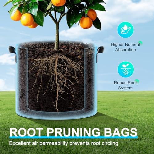 Land Guard 10-Pack Fabric Grow Bags 30 Gallon, Thickened Nonwoven Garden Pots, Growing Bags with Handles, Black - Image 6