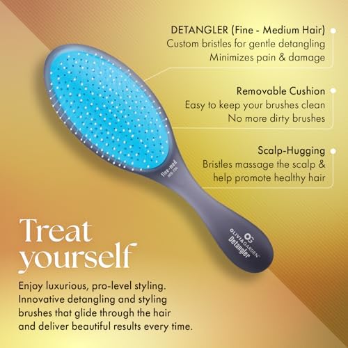 Olivia Garden Aurora Detangler Brush for Wet and Dry Fine to Medium Hair - Detangling Brush for Women, Men, Kids - Image 2