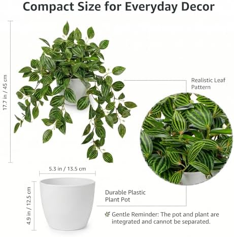 Briful Artificial Potted Plant Indoor, 17.7" Faux Watermelon Peperomia Trailing Plant in White Plastic Pot Realistic Fake Cascading Greenery for Shelf Bathroom Office Desk Tabletop Home Decor - Image 2