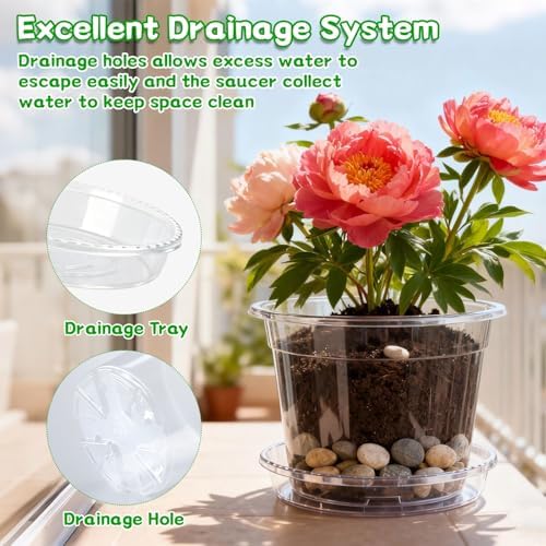 3/4/5/6/7 Inch Clear Nursery Pots with Drainage Holes, Saucers, Plant Tags - Image 3
