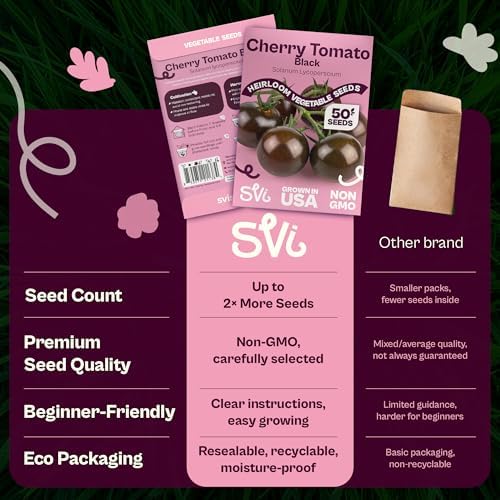 SVI 50 Black Cherry Tomato Seeds (Solanum Lycoperscium) - Black Cherry Tomatoes Seed Packets, Sweet Heirloom Tomato on Vine - Non GMO Vegetable Seeds for Outdoor & Indoor Garden, Containers - Image 6