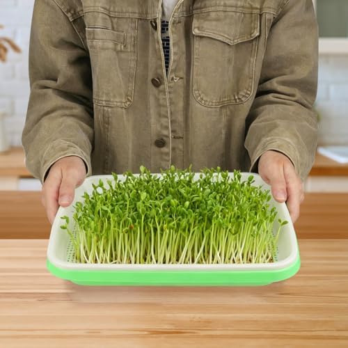 20 Pack 12.6 x 10 x 1.8 inch Microgreens Growing Trays, BPA-Free Sprouting Trays, Germination Tray for Beans, Wheatgrass & Microgreens, Home, Kitchen & Garden - Image 4