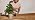 Miracle-Gro Organic Indoor Plant Food, 8 fl. oz. (2-Pack) - Image 7