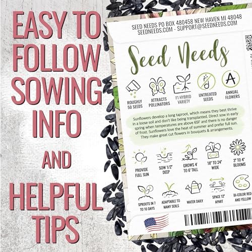 Seed Needs Cherry Rose Sunflower Seeds to Plant Cut Flowers - 2 Packs - Image 4