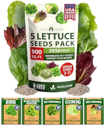 HOME GROWN Lettuce Seeds 5 Variety Mix 3950+ Bulk Pack (Lactuca Sativa) by HOMEGROWN