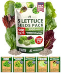 HOME GROWN Lettuce Seeds 5 Variety Mix 3950+ Bulk Pack (Lactuca Sativa) by HOMEGROWN