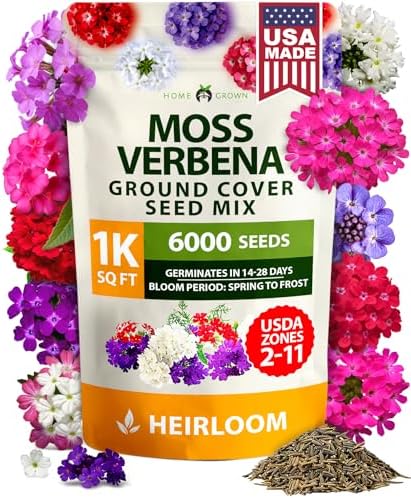 HOME GROWN Verbena Moss Seeds, 6,000+ Seeds, Verbena tenuisecta by HOMEGROWN