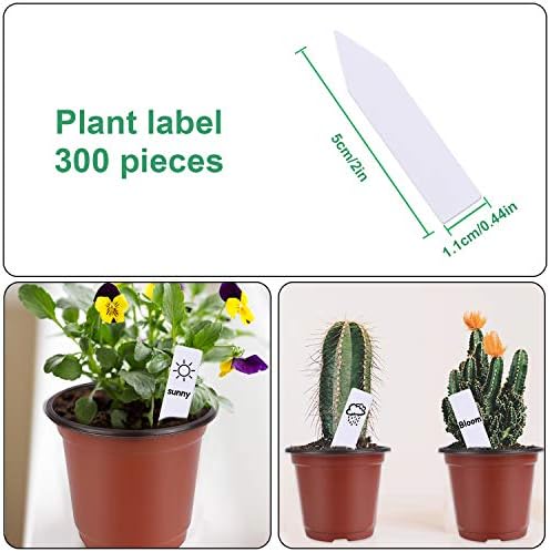 Augshy 250Pcs 4 Inches Plant Pots Seed Starting Containers with 300 Labels - Image 3