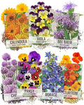 Seed Needs Edible Flower Seeds Variety Pack of 7 Wildflowers for Garnishing by SeedNeeds