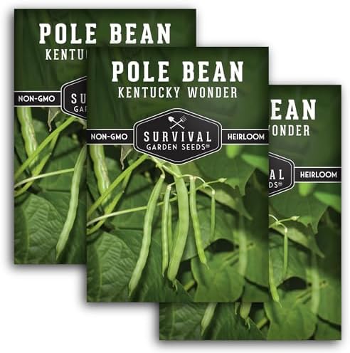 Kentucky Wonder Pole Bean Seeds for Planting (3 Pack) by SurvivalGardenSeeds