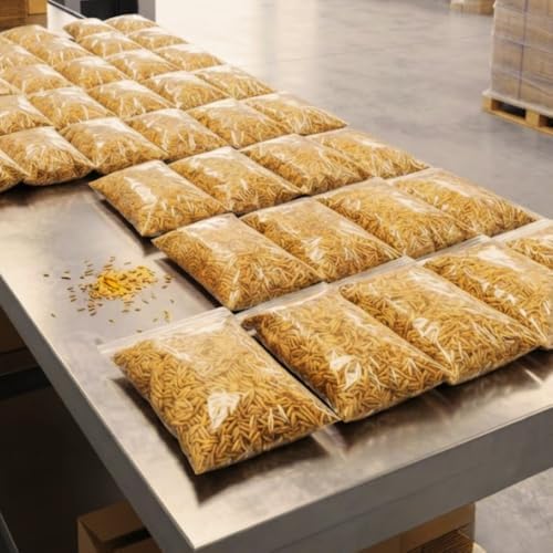 100,000 Emerald Zoysia Grass Seeds for Lawn - Image 5