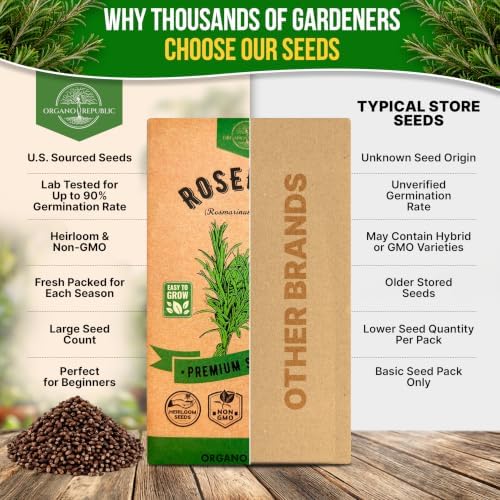 Rosemary Seeds Pack 0.5 G - Over 325 Non-GMO Heirloom Seeds for Planting Herbs in Individual Packet, Home Garden Indoor & Outdoor Gardening - Image 7