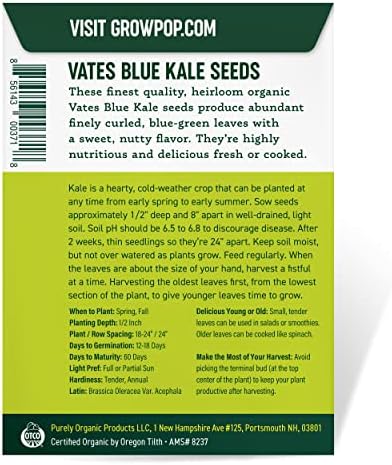 Organic Kale Seeds (Vates Blue Scotch Curled) - Approx 500 Seeds - USDA Organic, Non-GMO, Open Pollinated, Heirloom, USA Origin (Pack of 2) - Image 4
