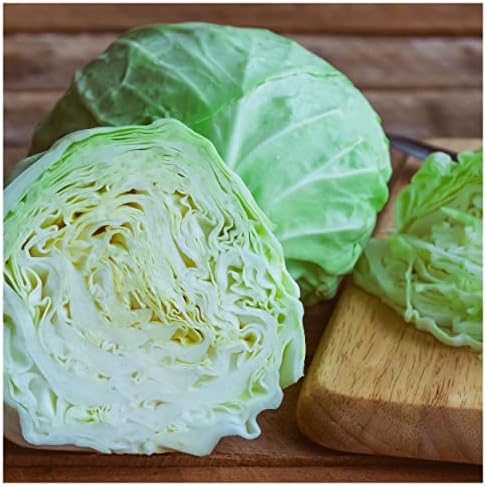 1/4 Lb Organic All Seasons Cabbage Seeds - Gold Vault - Image 3