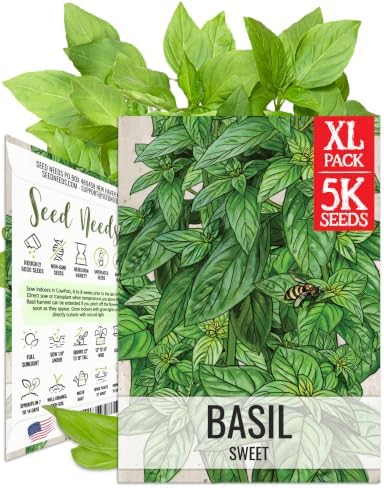 Seed Needs Sweet Basil Seeds to Plant Non-GMO Heirloom Genovese XL Pack by SeedNeeds