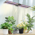 JCBritw 200W LED Grow Light on Stand for Indoor Plants, Desktop Plant Growing Lamp Full Spectrum with UV IR, 90 Degree Lens Tabletop Plant Light for Seed Starting, Seedlings, Veg, Fruits and Flower by JCBritw