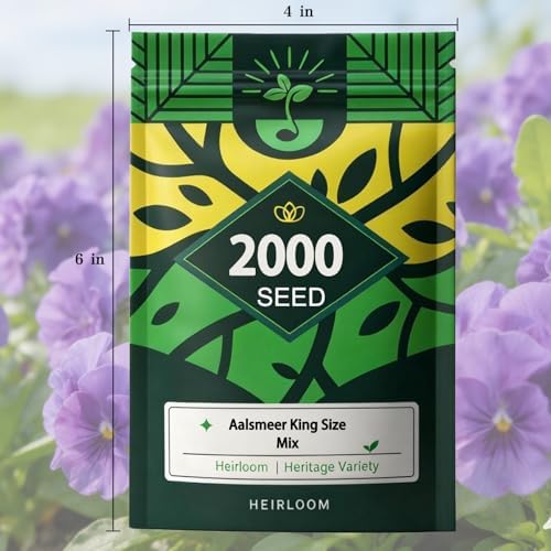 Viola Seeds, 2000 Cool Season Flower Seeds for Pot, Borders, Window Boxes - Image 7