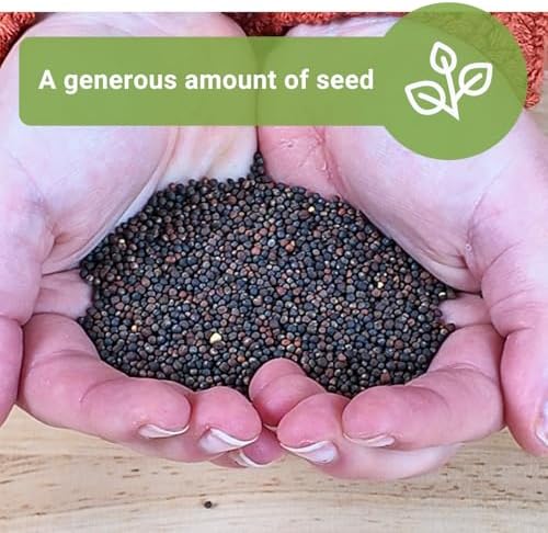 Sow Right Seeds- 7000 Superfood Mix Microgreen Seed for Growing Bulk Indoor - Image 5
