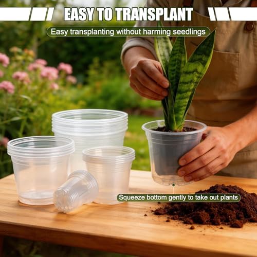 4/6/7/10 Inch Large Clear Nursery Pots with Drainage & Plant Tags - Image 5