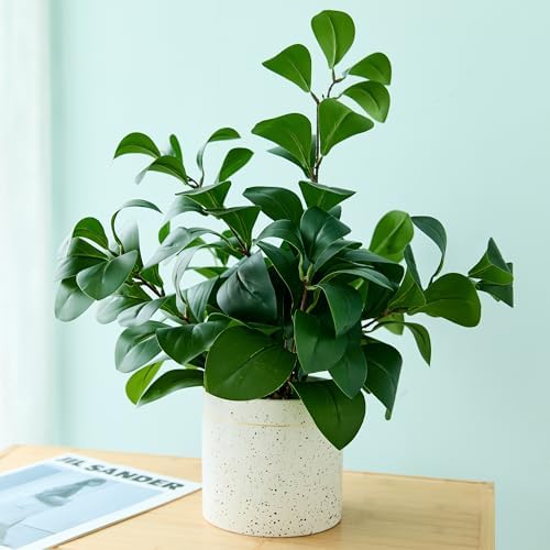 AlphaAcc Fake Plants Greenery Ficus Leaf Artificial Plant Indoor Bathroom Potted Faux Plant Decor with White Marble Planter for Kitchen Counter Bedroom Office Coffee Table Decoration - Image 2