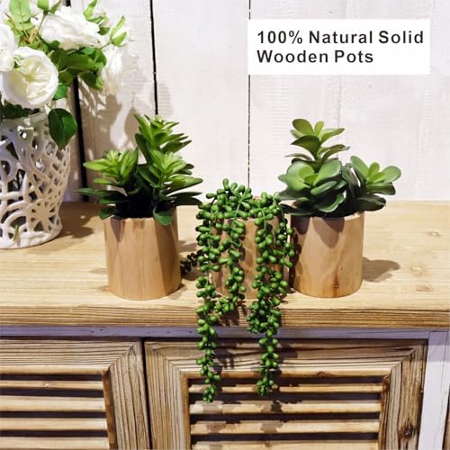 Artificial Succulents Plastic Artificial Green Plant for Office, Home Decor (Set of 3 Succlents in Wooden pots) - Image 6