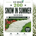 Garden Seeds for Planting, 250 Snow in Summer by CZGrain