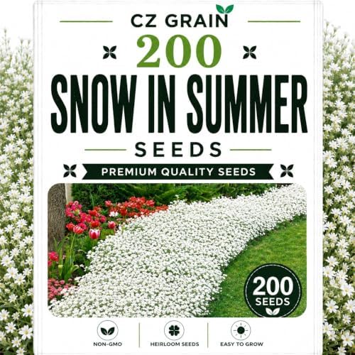 Garden Seeds for Planting, 250 Snow in Summer by CZGrain