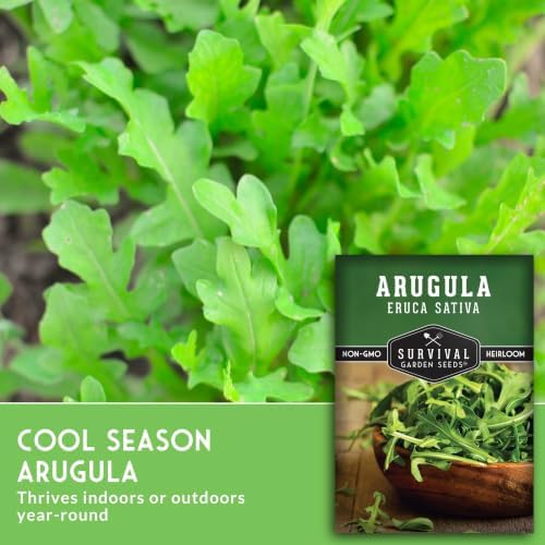 Arugula Seeds for Planting - Survival Garden Seeds (2 Pack) - Image 6