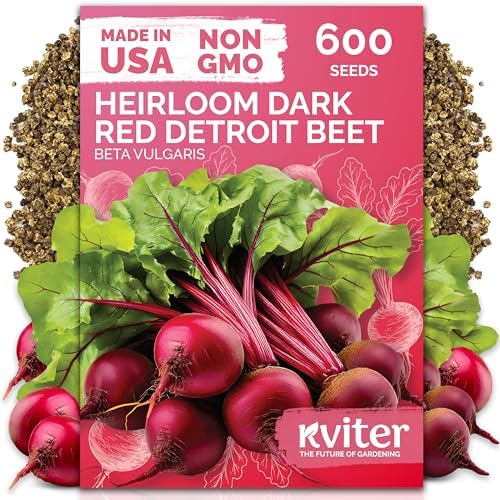 600 Detroit Dark Red Beet Heirloom Vegetable Seeds, Beta Vulgaris by KVITER
