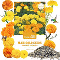 Groundio Marigold Seeds, 9500+ Crackerjack Marigold Flower Seeds, Non-GMO Heirloom Flower Seed in Mix Color for Planting Home and Garden-Wildflower African Marigold(Tagetes erecta) by Groundio