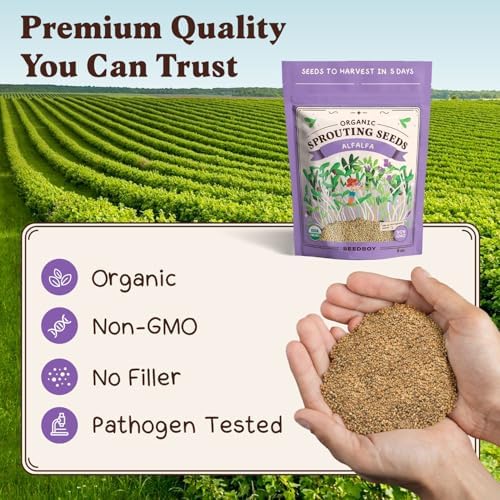 Seedboy Organic Non-GMO Sprouting Seeds (Alfalfa) - Image 6