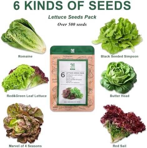 Lettuce Seed Pod Kit, Romaine, Butter Head, Red Sail, Red&Green Leaf, Red Sail Lettuce, Grow Anything Seed Pod Kit Compatible with All Indoor Hydroponics (8-Pod) - Image 2