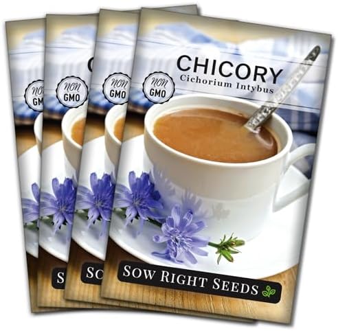 Sow Right Seeds - Chicory Seed for Planting Perennial Wildflower Garden 4pk by SowRightSeeds