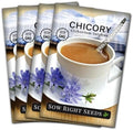 Sow Right Seeds - Chicory Seed for Planting Perennial Wildflower Garden 4pk by SowRightSeeds