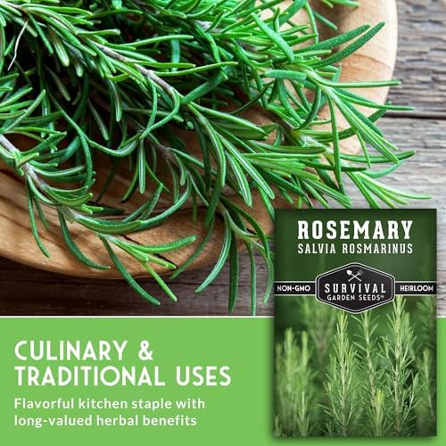 Rosemary Seeds for Planting – Survival Garden Seeds (3 Pack) - Image 5