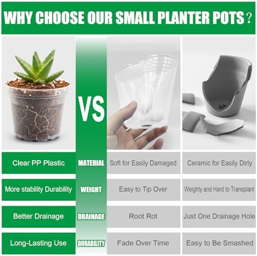 BTPLASTIK 50 Pack 3 Inch Clear Nursery Pots with Drainage Hole, Small Transparent Seed Starter Pots, Sturdy Plastic Plant Pot for Planting Seedlings Vegetables Flowers (3Inch-50P) - Image 4