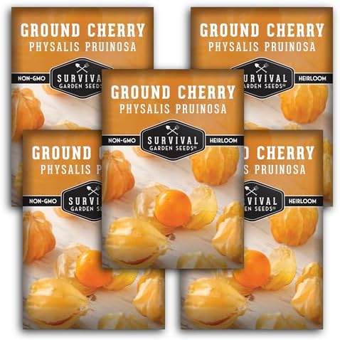 Ground Cherry Seeds for Planting – Husk Cherries (5 Packs) by SurvivalGardenSeeds