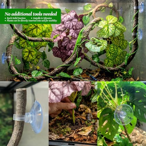 5 Pcs Reptile Plants & Habitat Decor Kit - 3 Artificial Plants & Large 5ft Jungle Vine Branch, Terrarium Tank Decor & Climbing Accessories for Gecko (Lime Heuchera, Purple Heuchera, Vein Begonia) - Image 6