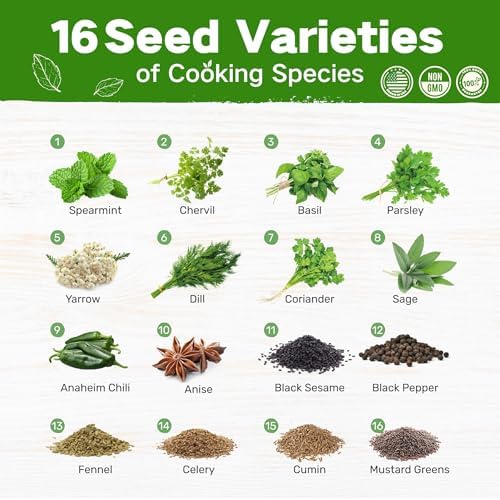 Lush&Dew Culinary Herbs Garden Seed Bank, Gardening Gifts for Women Men - Image 2