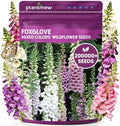 Foxglove Seeds Perennial – Mixed Colors, 200,000+ Seeds Bulk Pack for Easy-to-Grow Home Gardening, Tall Spire Blooms for Garden Borders, Attract Hummingbirds & Bees by PLANTMEW