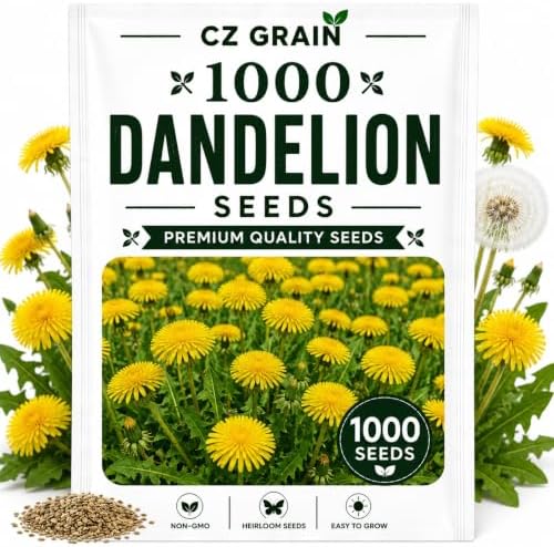 Garden Seeds for Planting, 1000 Dandelion by CZGrain
