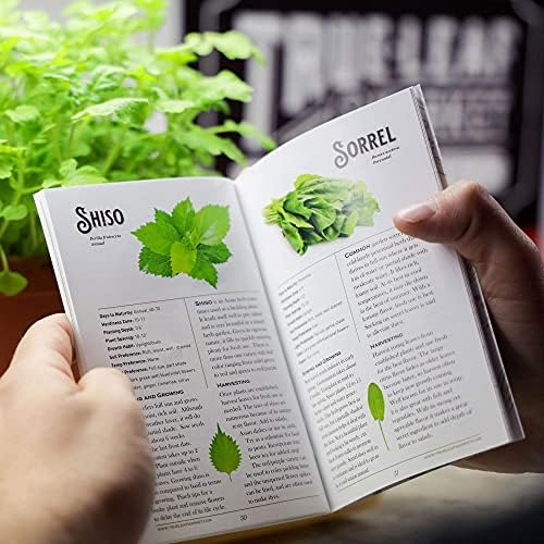 Sustainable Seed Co Culinary Herb Seeds Variety Pack – 10 Non-GMO - Image 4