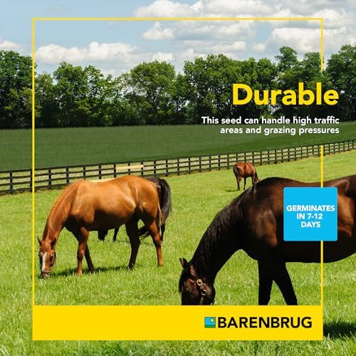 Pasture Seed, 25 lb 23094 - Image 4