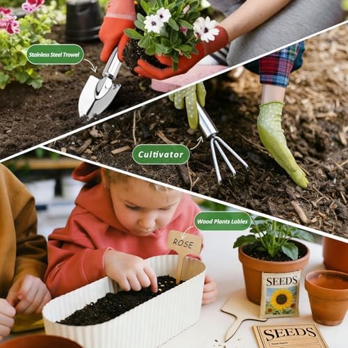 Natural Bamboo Seed Storage Organizer Box, Garden Tools Saving Kit - Image 4