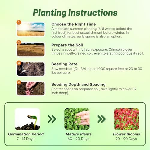 Outsidepride Crimson Clover Seeds - 2 lbs. Annual, Nitrocoated, & Inoculated Ground Cover Seeds, Ideal Clover Seed for Lawn, Cover Crop, Pasture, Hay, Green Manure & Wildlife Forage - Image 6