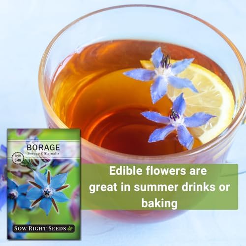 Sow Right Seeds-Borage Seed for Planting Medicinal Culinary Herb Garden 2pk - Image 5