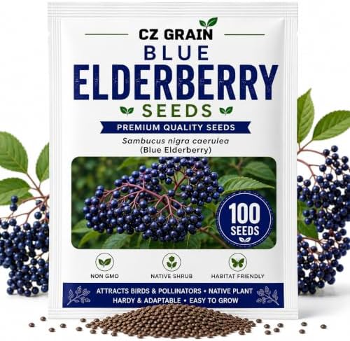 Blue Elderberry Seeds for Planting | Native Berry Shrub | 100 Seeds by CZGrain